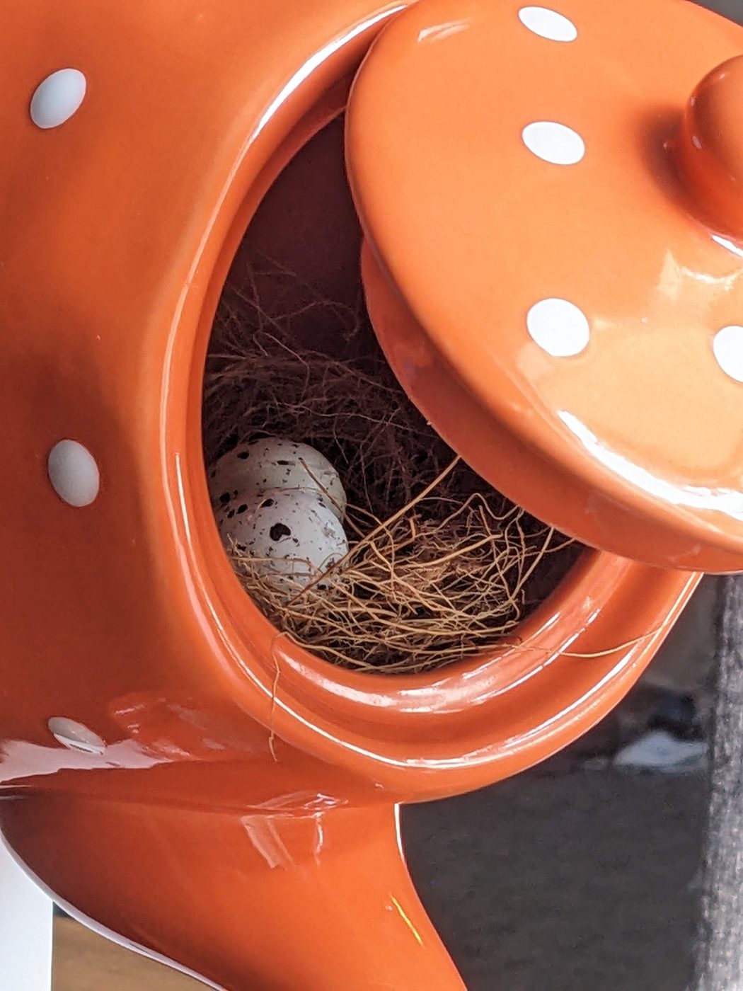 Orange Dot Bird House 5
